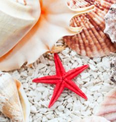 BireyselPsikoterapi_S