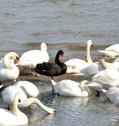 BENLİK SAYGISI VE ÖZGÜVEN